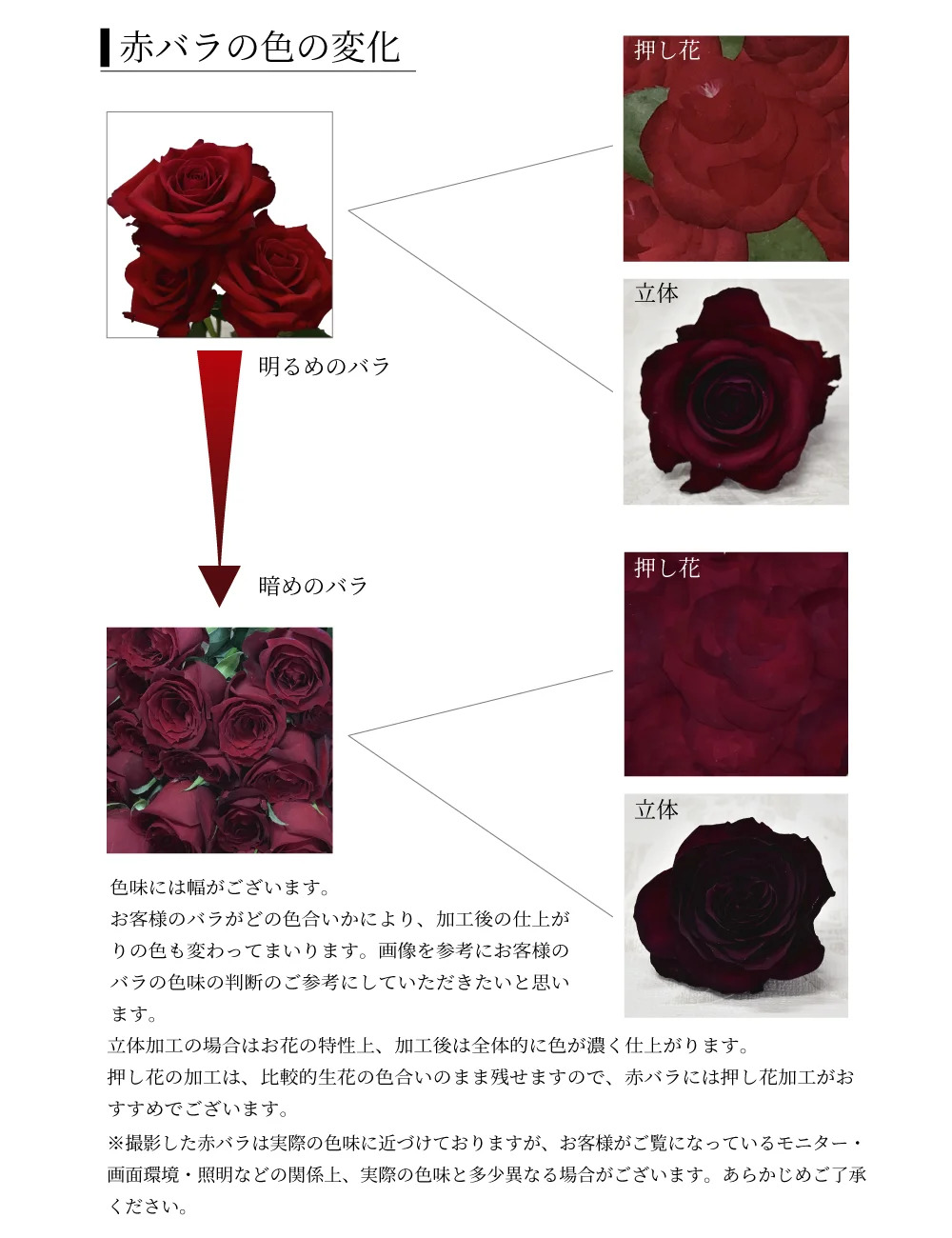 ハーモニー ブーケ 花束の保存専門店 シンフラワー ウエディングブーケやプロポーズの花束の保存加工 フラワー工房 Xing Flower