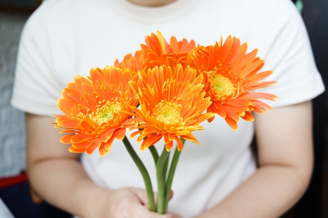 ガーベラの押し花の作り方