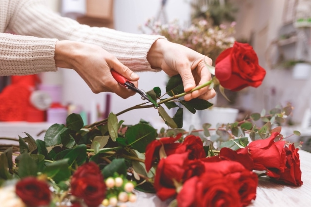 バラの押し花をきれいに作る方法