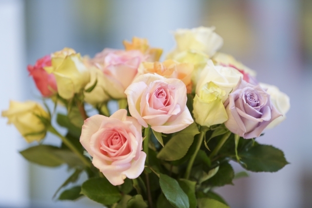 バラの色別の花言葉