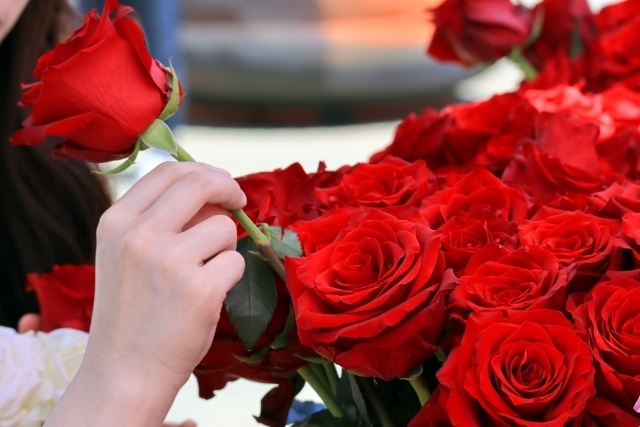 薔薇108本の花束の保存ならシンフラワーにおまかせ