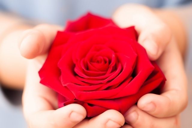 バラを美しく保存したいならシンフラワーにご相談を