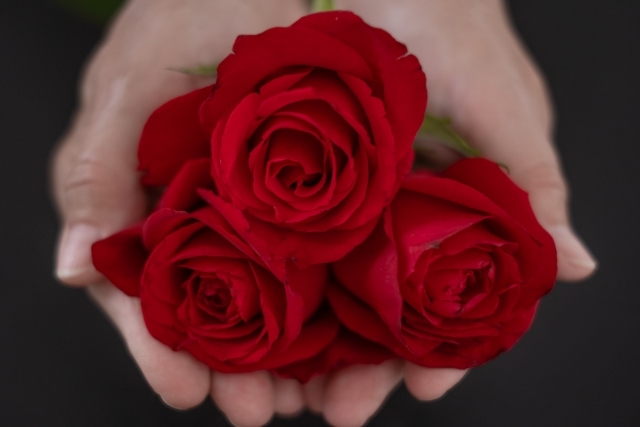 バラはどんな花？基本情報をチェック