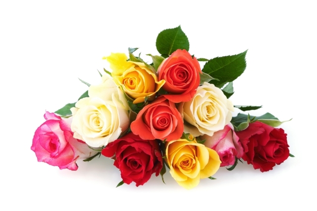 薔薇の色によって変わる花言葉とは？