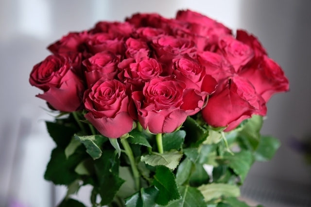 バラ全体の花言葉