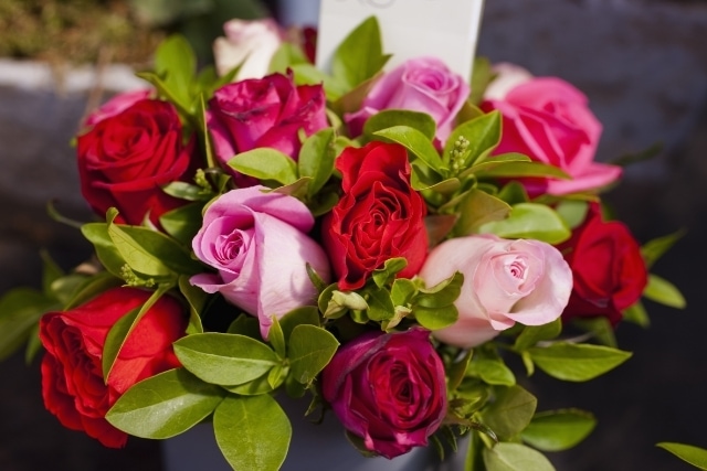 薔薇の状態や部位、組み合わせでも意味が変わる