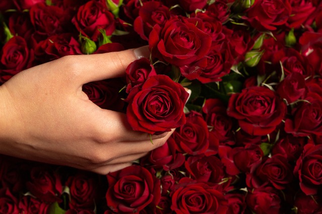 入籍までにプロポーズの花束の保存加工をしよう