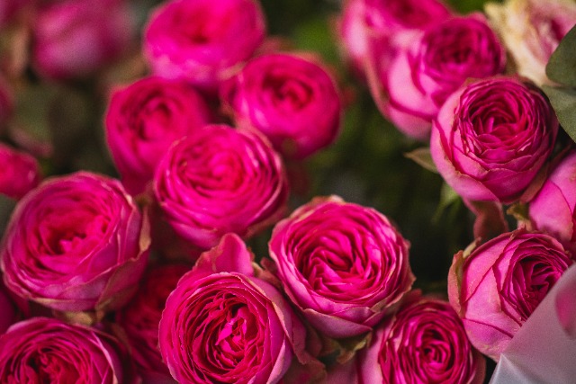 大切な花束が美しく長持ちする！シンフラワーの保存加工とは？