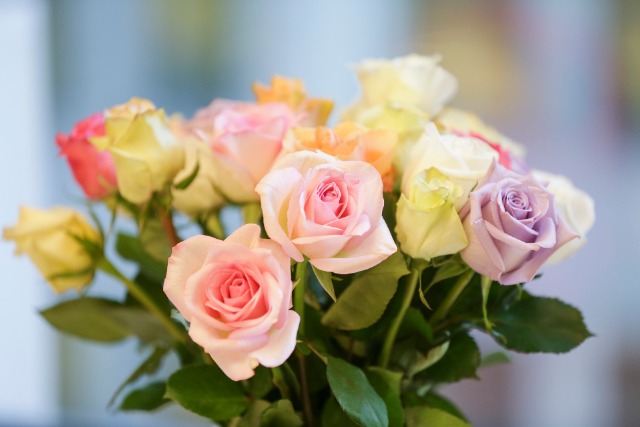 8月の誕生花を記念に残したい場合は?色や形を美しく維持する方法