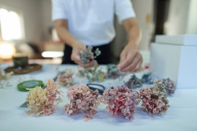 テーブルの上に並べられた乾燥したアジサイの花束と作業する手。